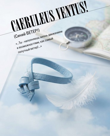 Ремешок на сумку-БРАСЛЕТ-держатель Брелока Унисекс Pi-CAERULEUS VENTUS!